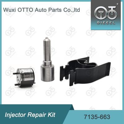 7135-663 Delphi Enjektor Tamir Kütesi Nozzle-Valve Kit Nozzle-CVA Kit