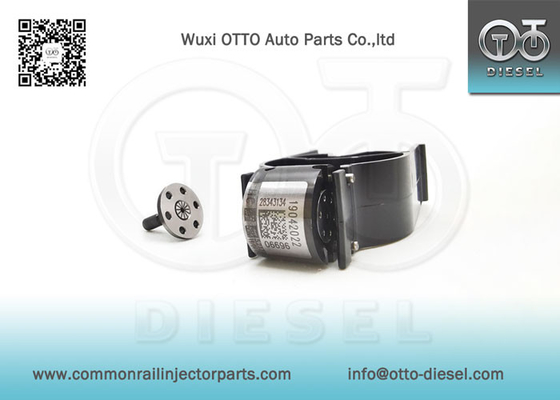 28343134 Delphi Common Rail Kontrol Valves For Injectors R00001D/28307309 Etc.