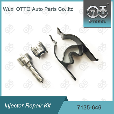 Delphi Enjektor Tamir Kits 28232251 / R03101D / R05102D