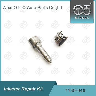 Delphi Enjektor Tamir Kits 28232251 / R03101D / R05102D