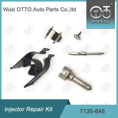 Delphi Enjektor Tamir Kits 28232251 / R03101D / R05102D