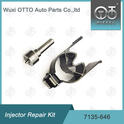 Delphi Enjektor Tamir Kits 28232251 / R03101D / R05102D