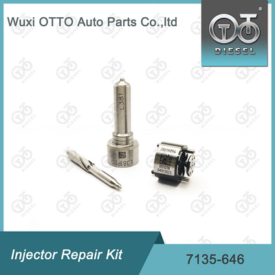 Delphi Enjektor Tamir Kits 28232251 / R03101D / R05102D