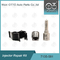 7135-581 R00101D PSA / FORD DW10C için Delphi Enjektör Tamir Takımı