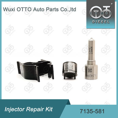 7135-581 Enjektör Tamir Takımı R00101D PSA FORD DW10C için