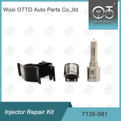 R00101D PSA / FORD DW10C Nozzle-Valve Kit için Delphi Enjektor Tamir Kits 7135-581 Nozzle-CVA Kit
