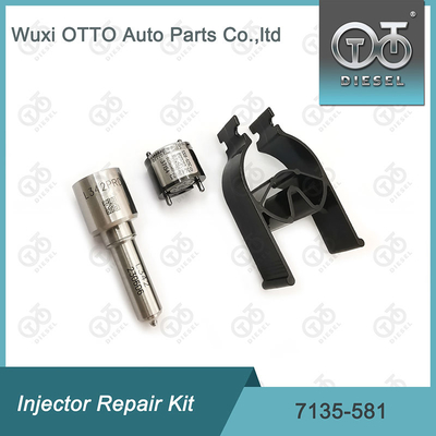 R00101D PSA / FORD DW10C Nozzle-Valve Kit için Delphi Enjektor Tamir Kits 7135-581 Nozzle-CVA Kit