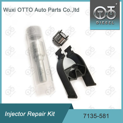 7135-581 Enjektör Tamir Takımı R00101D PSA FORD DW10C için
