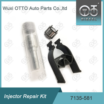 R00101D PSA / FORD DW10C Nozzle-Valve Kit için Delphi Enjektor Tamir Kits 7135-581 Nozzle-CVA Kit