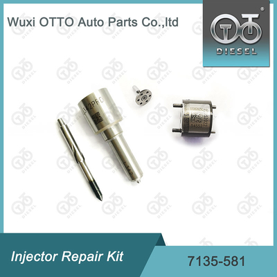 R00101D PSA / FORD DW10C Nozzle-Valve Kit için Delphi Enjektor Tamir Kits 7135-581 Nozzle-CVA Kit