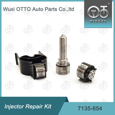Nozzle-Valve Kit 7135-654 Delphi Enjektor Tamir Kit R00501Z Nozzle L456PRD ile