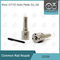 G3S9 Enjeksiyon için Common Rail nozzle 295050-008# / 083#