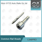 L349PRD Delphi Common Rail Nozzle OEM Yüksek Hızlı ISO9001