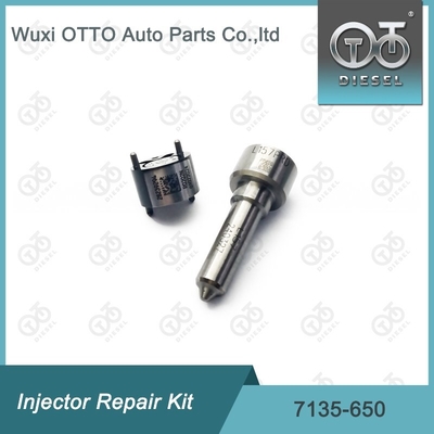 DELPHI Enjektorları için Nozzle-Valve Kit 7135 - 650 Delphi Enjektor Tamir Kits R04701D