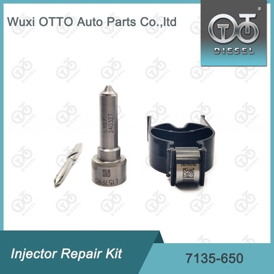 DELPHI Enjektorları için Nozzle-Valve Kit 7135 - 650 Delphi Enjektor Tamir Kits R04701D