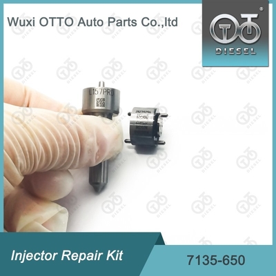 DELPHI Enjektorları için Nozzle-Valve Kit 7135 - 650 Delphi Enjektor Tamir Kits R04701D