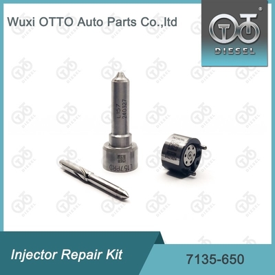 DELPHI Enjektorları için Nozzle-Valve Kit 7135 - 650 Delphi Enjektor Tamir Kits R04701D