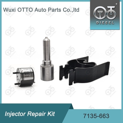 7135-663 Delphi Enjektor Tamir Kütesi Nozzle-Valve Kit Nozzle-CVA Kit