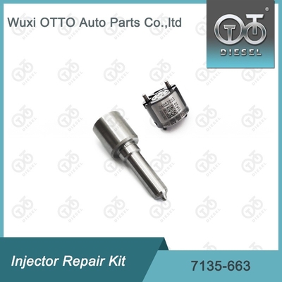 7135-663 Delphi Enjektor Tamir Kütesi Nozzle-Valve Kit Nozzle-CVA Kit