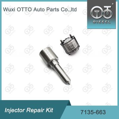 7135-663  Enjektor Tamir Kütesi Nozzle-Valve Kit Nozzle-CVA Kit