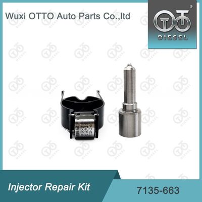 7135-663  Enjektor Tamir Kütesi Nozzle-Valve Kit Nozzle-CVA Kit