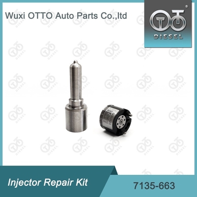 7135-663 Delphi Enjektor Tamir Kütesi Nozzle-Valve Kit Nozzle-CVA Kit