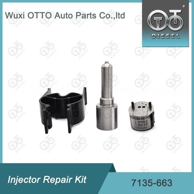 7135-663 Delphi Enjektor Tamir Kütesi Nozzle-Valve Kit Nozzle-CVA Kit