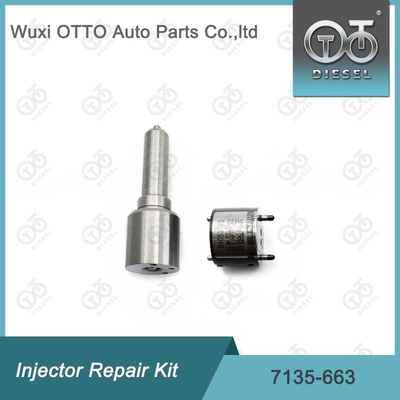 7135-663 Delphi Enjektor Tamir Kütesi Nozzle-Valve Kit Nozzle-CVA Kit