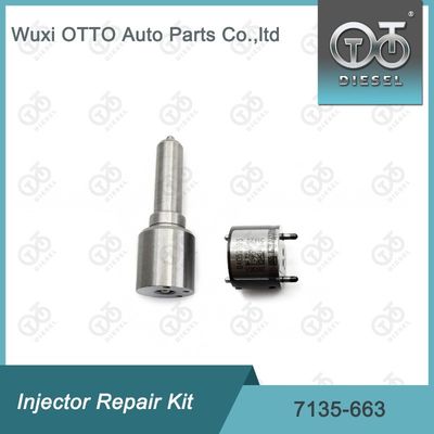 7135-663  Enjektor Tamir Kütesi Nozzle-Valve Kit Nozzle-CVA Kit