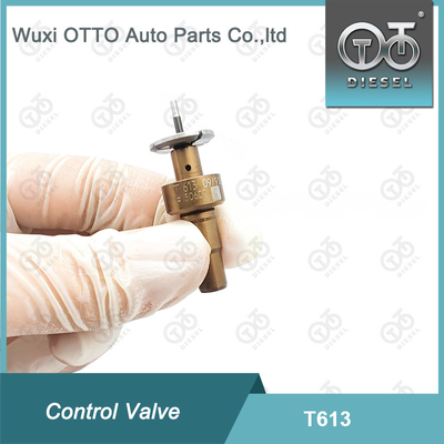 T613 Bosch Common Rail Kontrol Valfi Uygulandı 0445110551