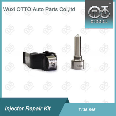 Fırın-Valf Kit Fırın-CVA Kit 7135 - 645 Common Rail Injector Repair Kit For Injectors R05201D