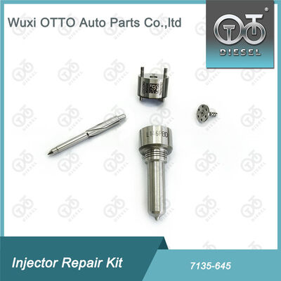 Fırın-Valf Kit Fırın-CVA Kit 7135 - 645 Common Rail Injector Repair Kit For Injectors R05201D