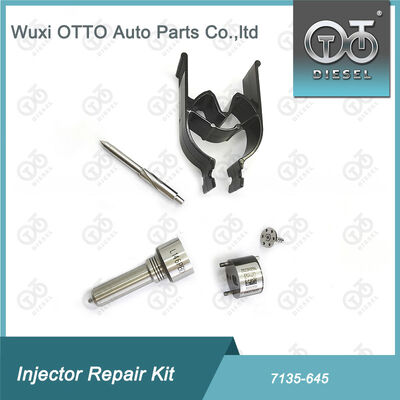 Fırın-Valf Kit Fırın-CVA Kit 7135 - 645 Common Rail Injector Repair Kit For Injectors R05201D