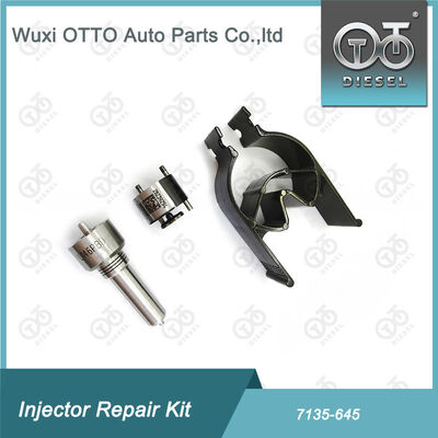 Fırın-Valf Kit Fırın-CVA Kit 7135 - 645 Common Rail Injector Repair Kit For Injectors R05201D