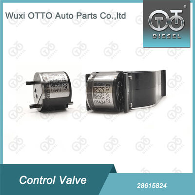 28615824 Common Rail Injectors için Common Rail Kontrol Valvu R00001D/28307309