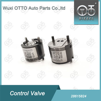 28615824 Common Rail Injectors için Common Rail Kontrol Valvu R00001D/28307309
