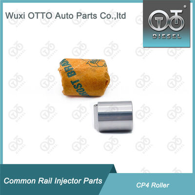 Common Rail Parçaları İçin CP4 Common Rail Pompa Silindiri