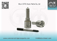 DLLA141P2146 Enjektörler için Bosch Common Rail Nozul 0445120134