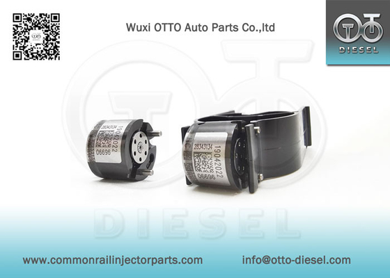 28343134 Delphi Common Rail Kontrol Valves For Injectors R00001D/28307309 Etc.
