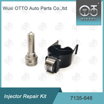 Delphi Enjektor Tamir Kits 28232251 / R03101D / R05102D