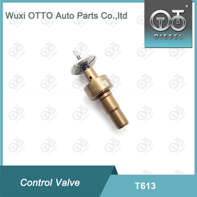 T613 Bosch Common Rail Kontrol Valfi Uygulandı 0445110551