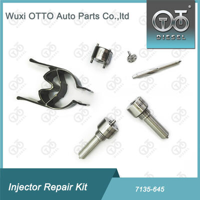 Fırın-Valf Kit Fırın-CVA Kit 7135 - 645 Delphi Common Rail Enjektor Tamir Kits Injektorlar için R05201D