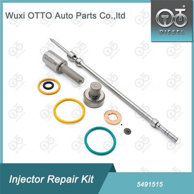 Common Rail Enjektor Tamir Kits 5491515