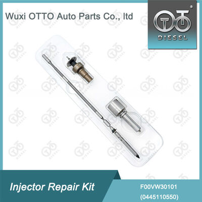 Dizel enjektör için Common Rail Enjektor Tamir Seti F00VW30101 0445110550